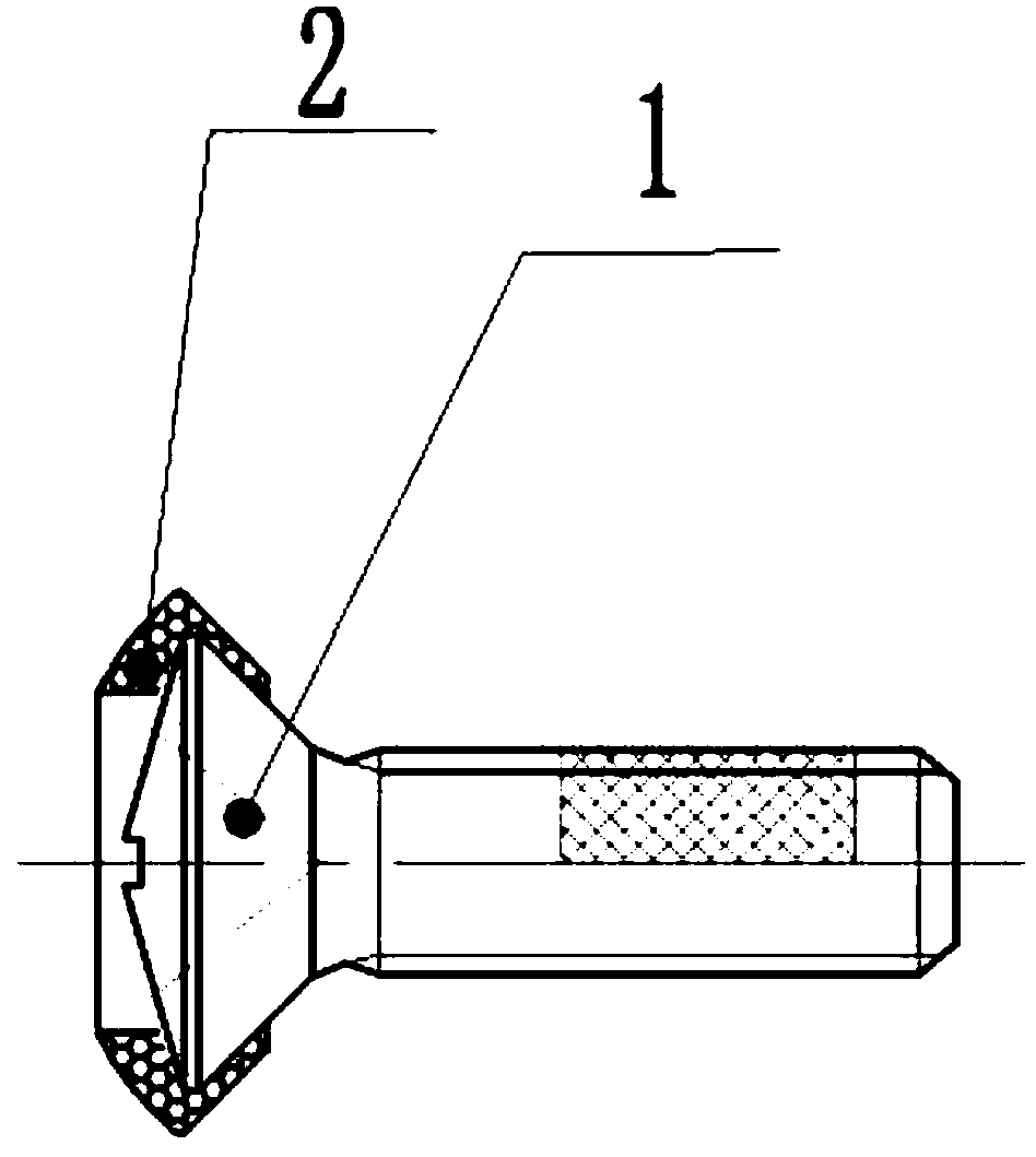 Fastener for protecting body paint on automobile door lock body