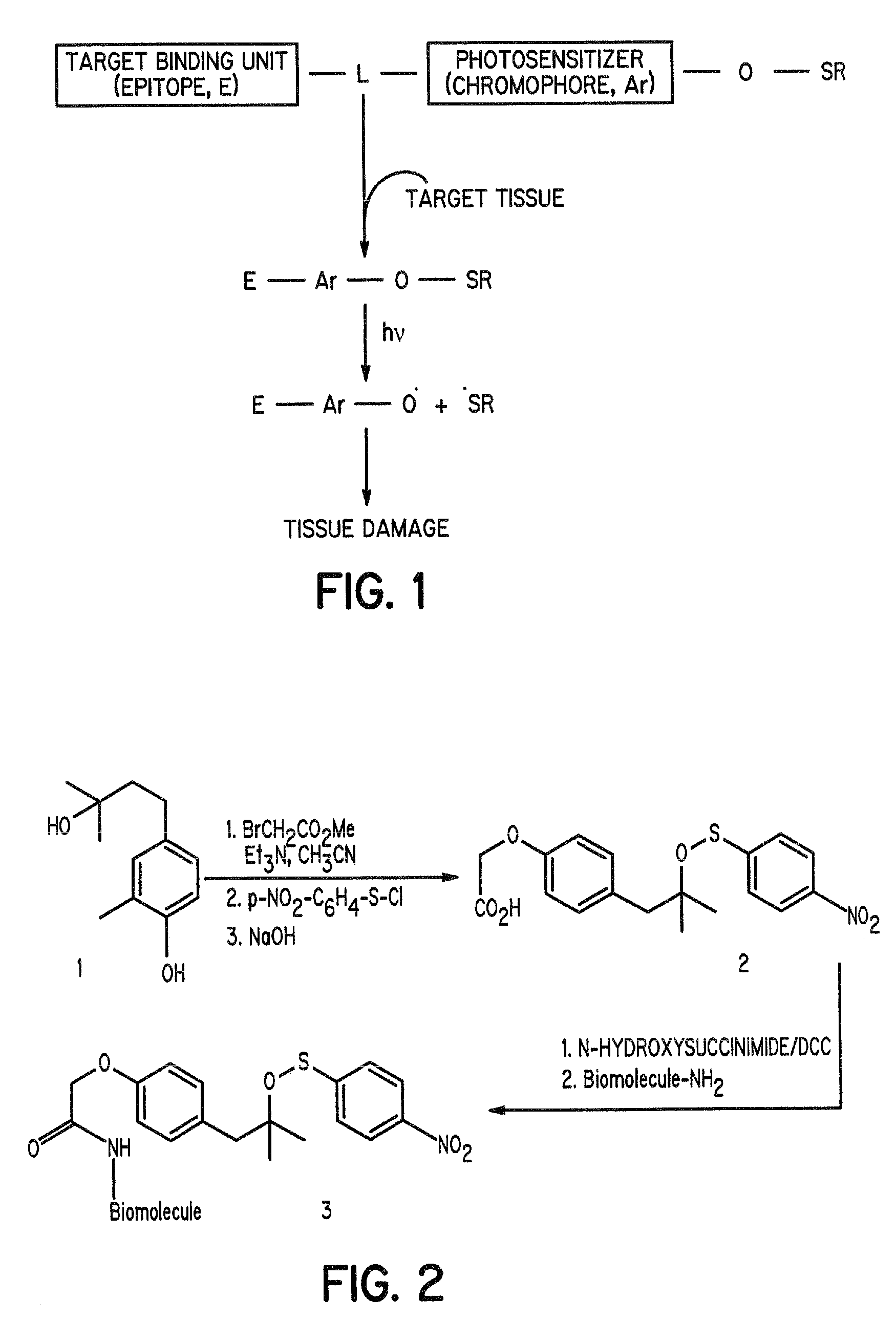 Aromatic sulfenates for type 1 phototherapy