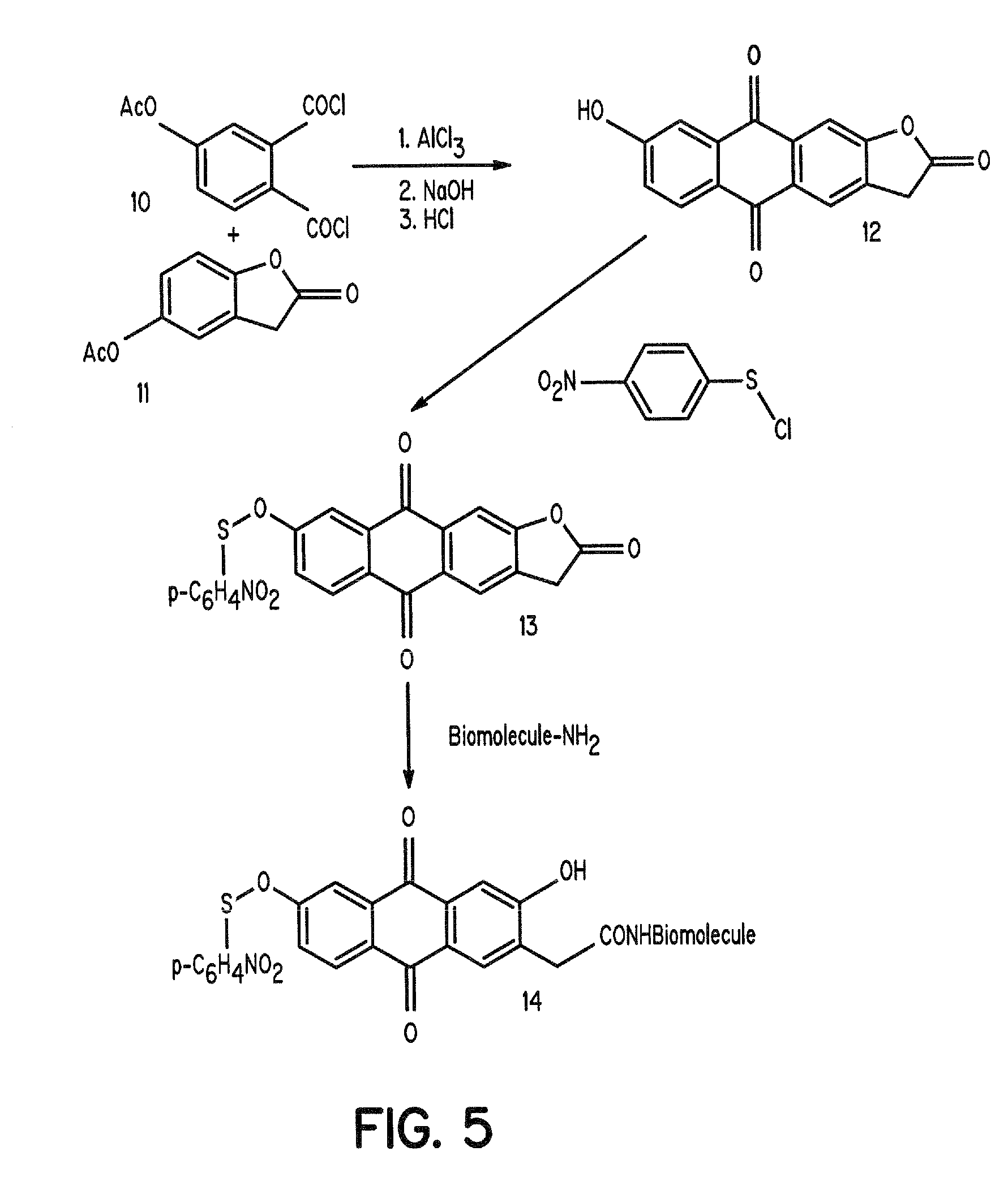 Aromatic sulfenates for type 1 phototherapy