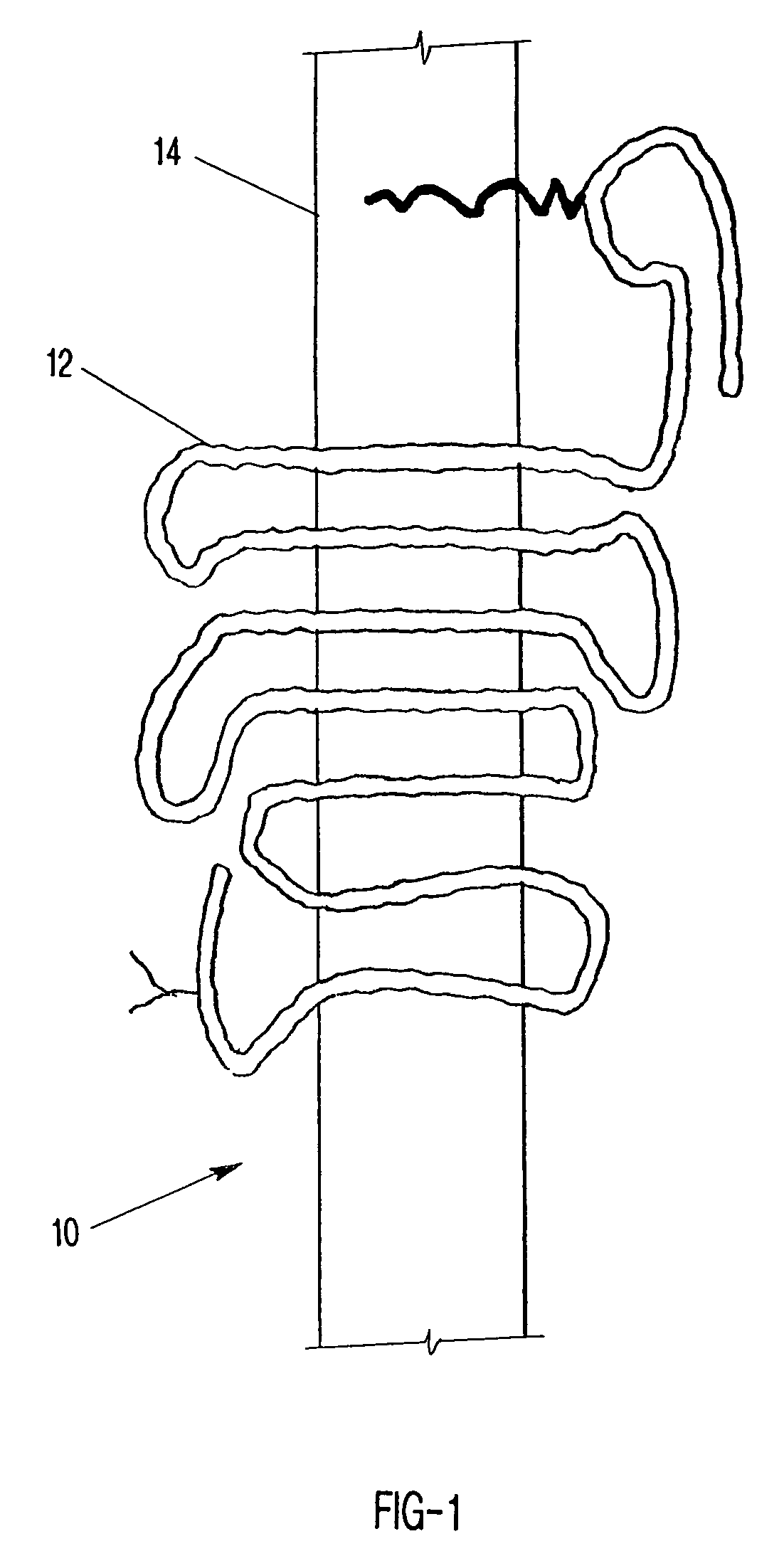 Display of receptors and analysis of binding interactions and drug libraries