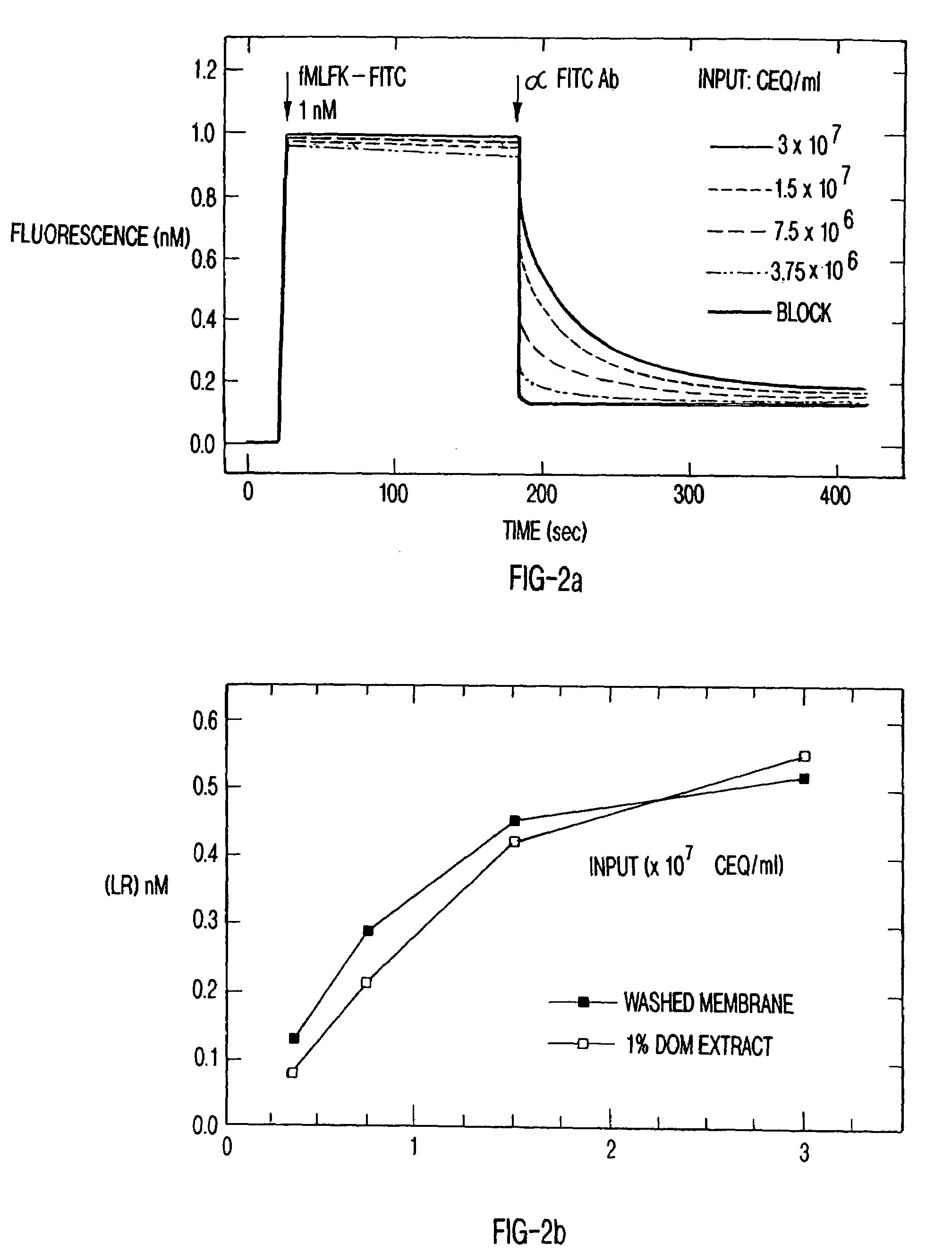 Display of receptors and analysis of binding interactions and drug libraries