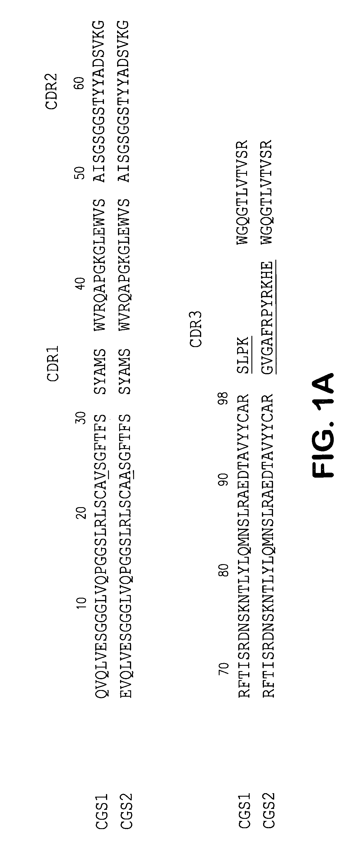 Antibodies to the ED-B domain of fibronectin, their construction and uses