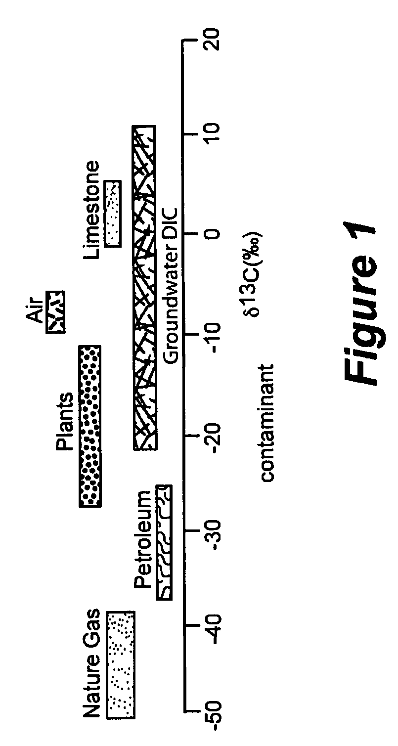 Apparatus and method for monitoring of gas having stable isotopes