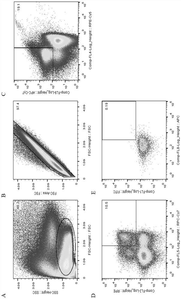 A fully human anti-new coronavirus neutralizing antibody zw2g10 and its application