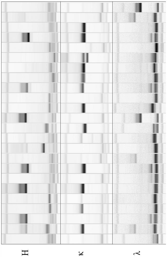 A fully human anti-new coronavirus neutralizing antibody zw2g10 and its application