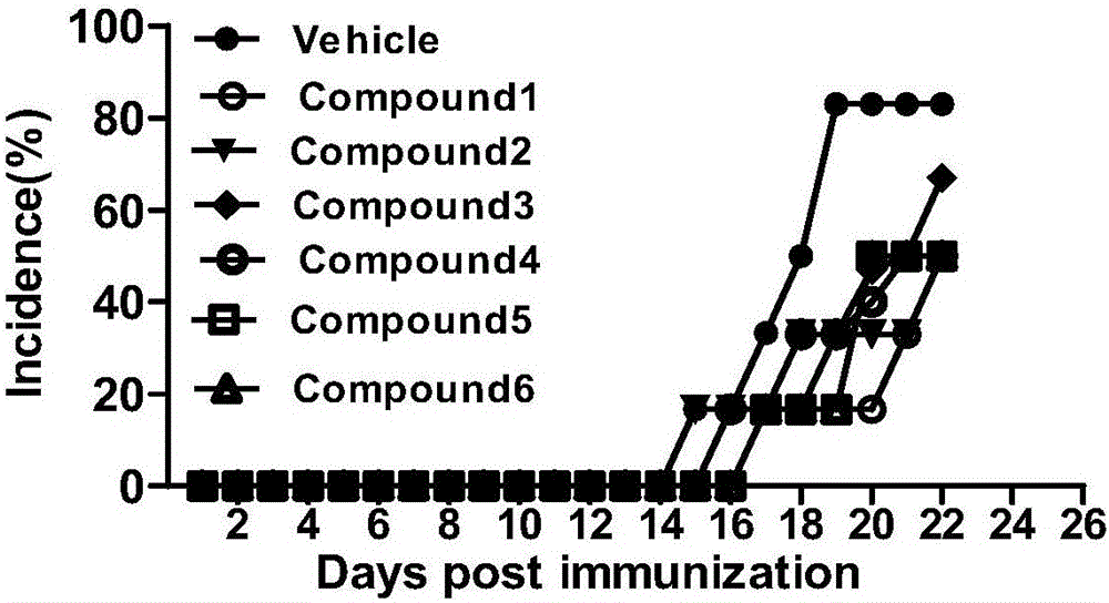 New chalcone derivative, preparation method and application thereof in autoimmune diseases
