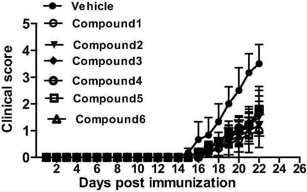 New chalcone derivative, preparation method and application thereof in autoimmune diseases
