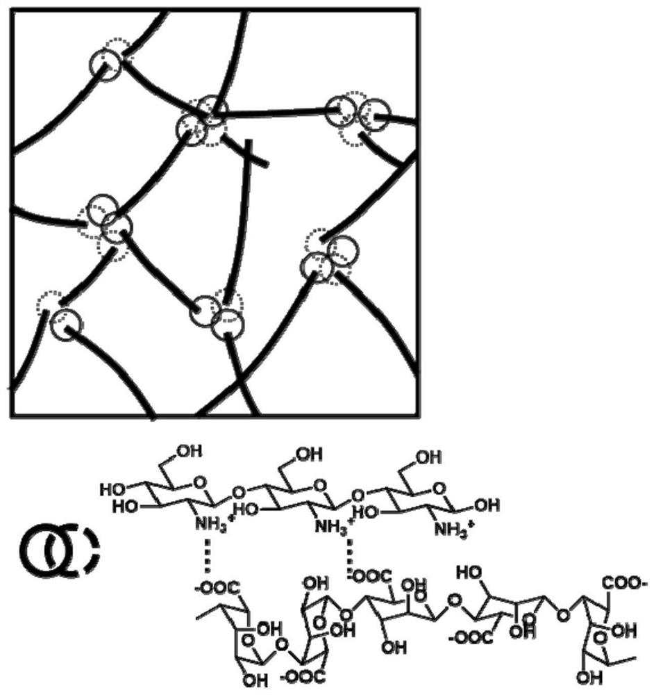 Polyelectrolyte compound hydrogel fiber and preparation method thereof