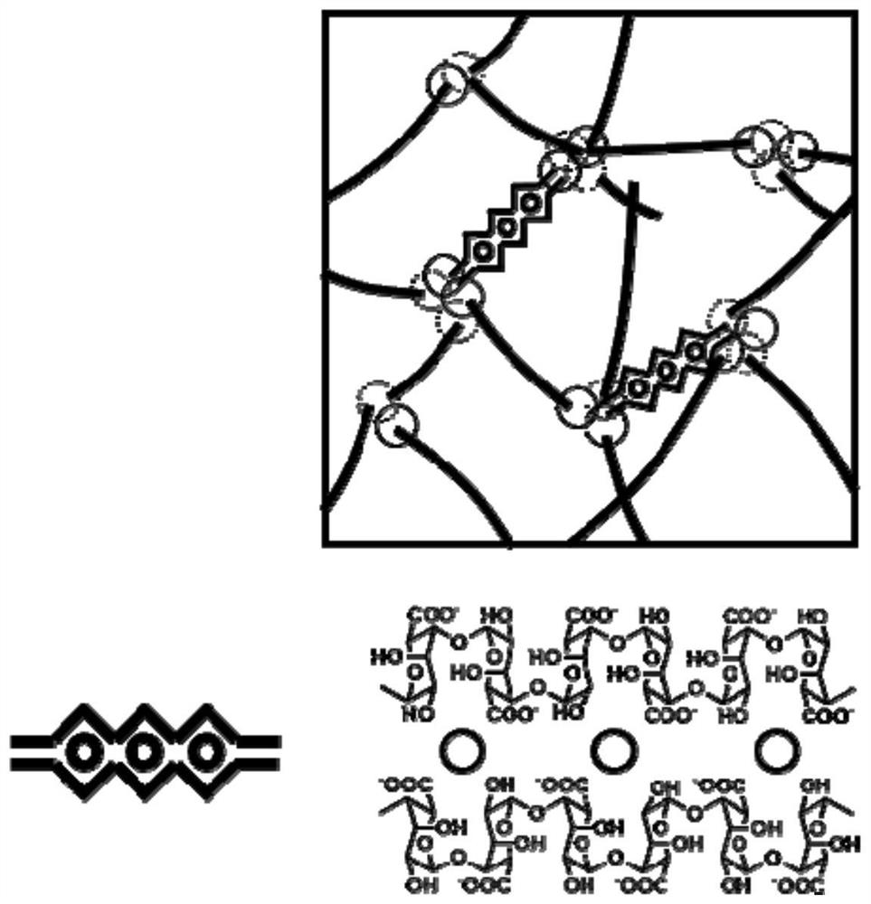 Polyelectrolyte compound hydrogel fiber and preparation method thereof