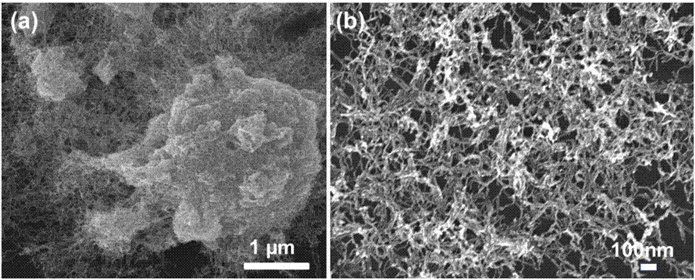 Preparation method of ultra-fine and ultra-long Au nanowire