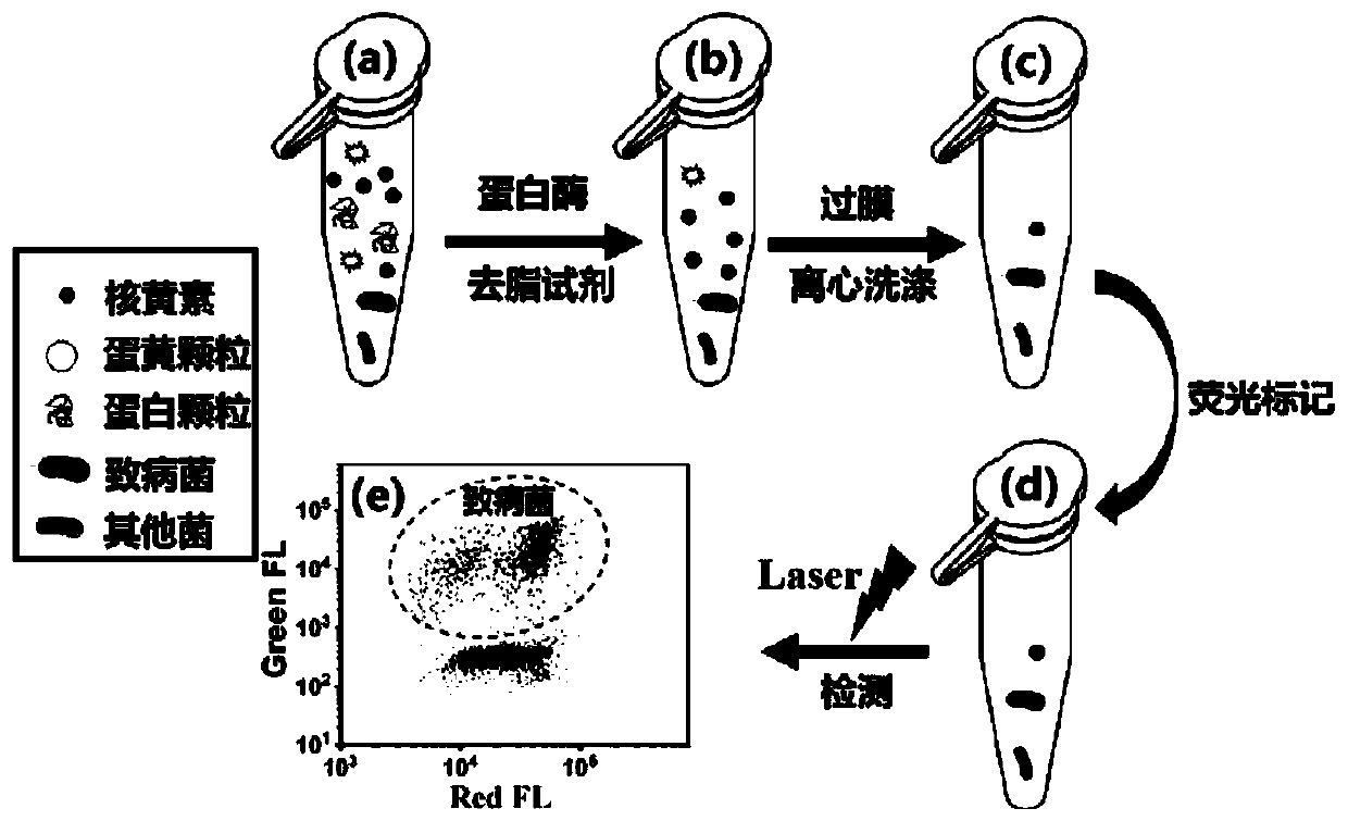 Method for quantitative detection of pathogenic bacteria and total bacterial count in edible raw egg
