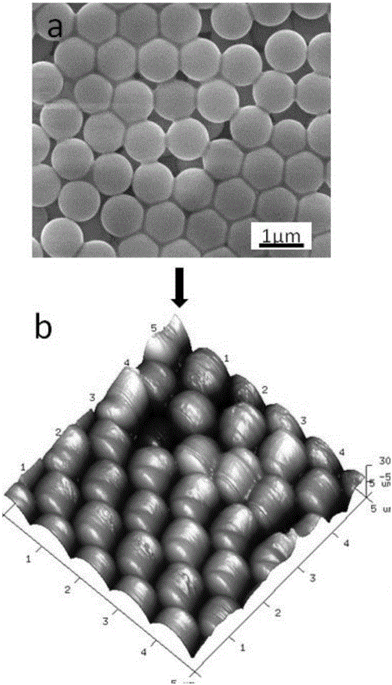 Silicon-carrying microsphere, copper net for separating oil from water and preparation method thereof