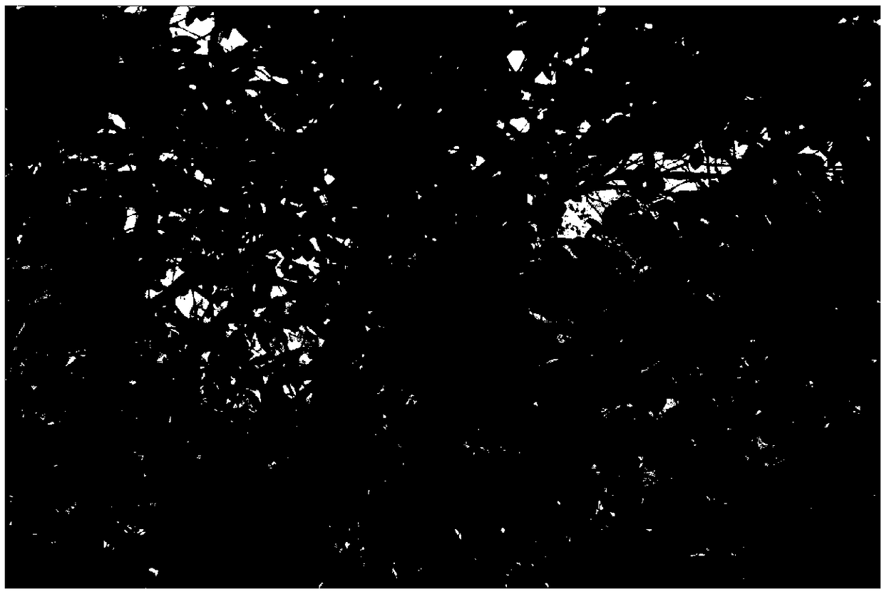 Leaf fertilizer for preventing fruit cracking of jackfruit, fruit cracking prevention method and application thereof