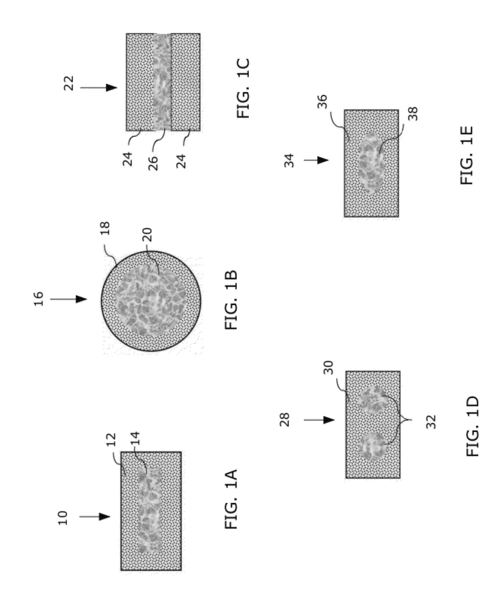 Integrated multi-zonal cage/core implants as bone graft substitutes and apparatus and method for their fabrication