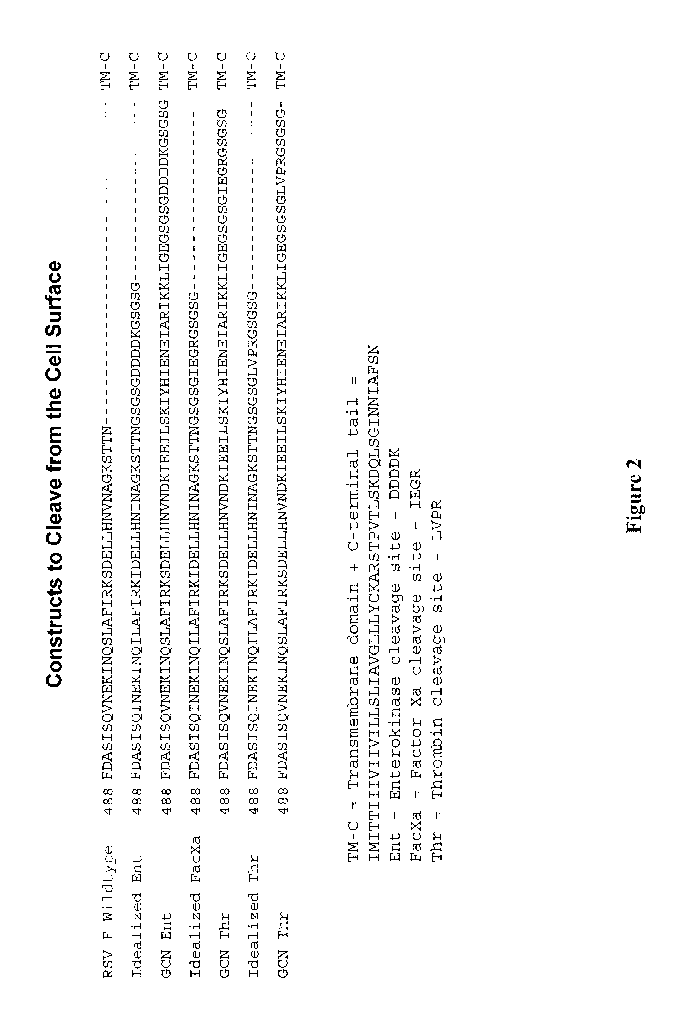 Rsv f protein compositions AMD methods for making same