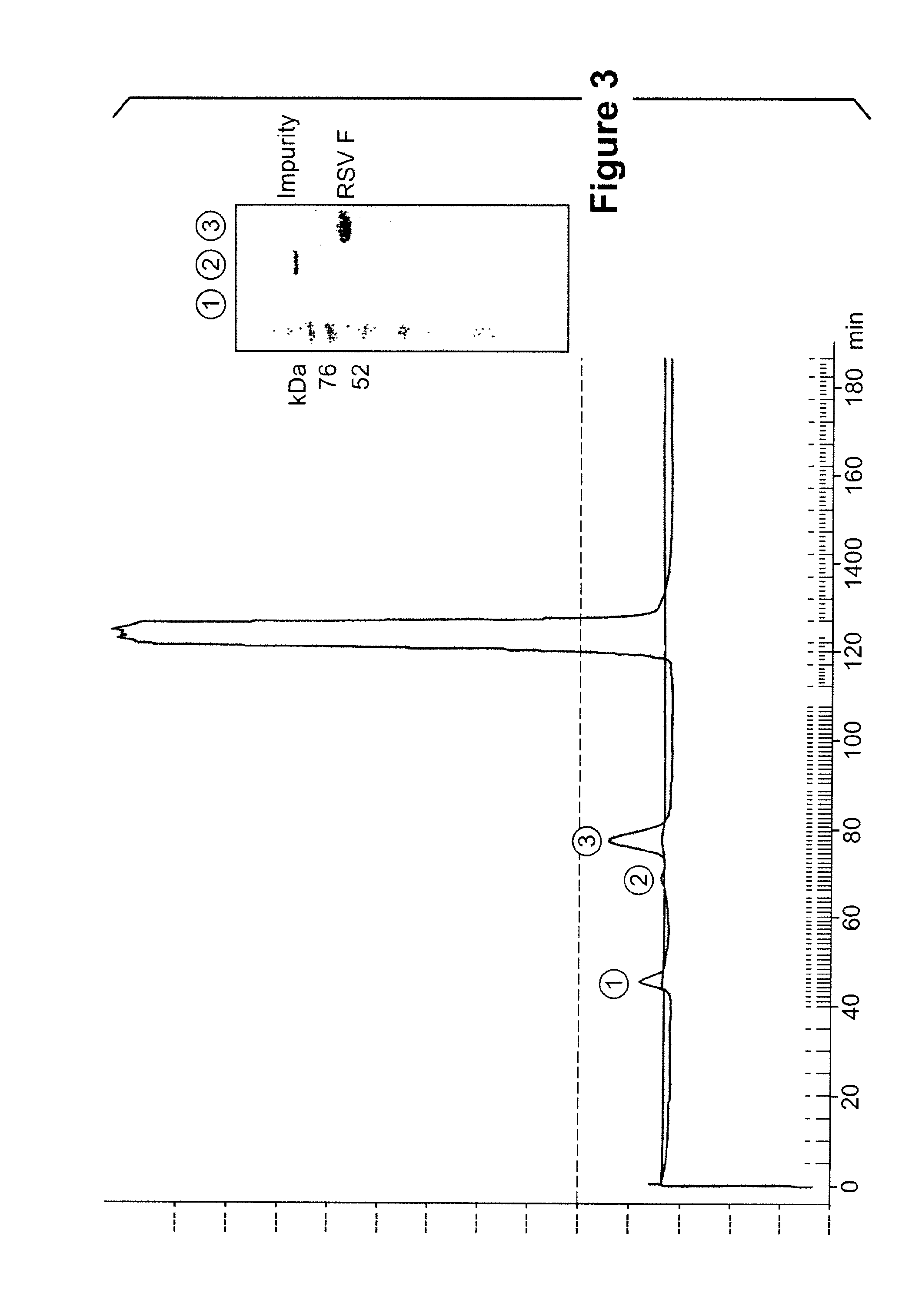 Rsv f protein compositions AMD methods for making same