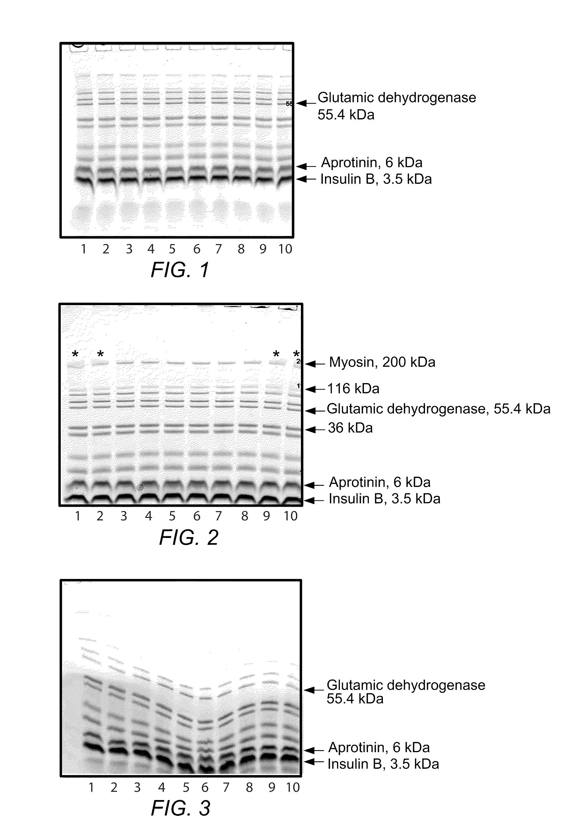 System for rapid high-resolution gel electrophoresis