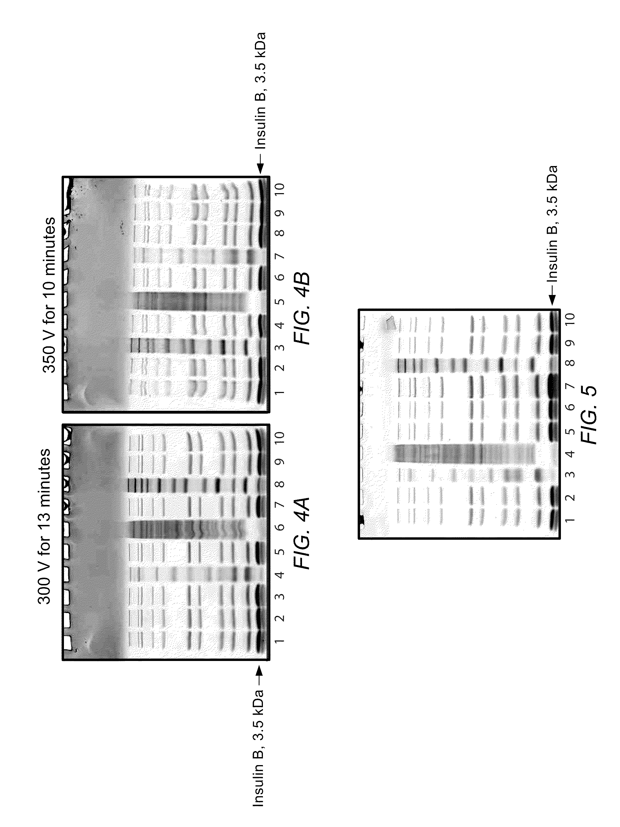 System for rapid high-resolution gel electrophoresis