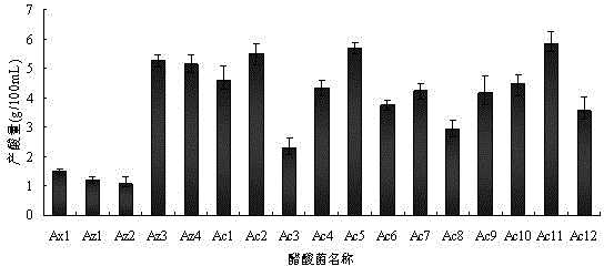 Apricotskin-skin residue vinegar acetic bacterium as well as separating-purifying method and application method thereof