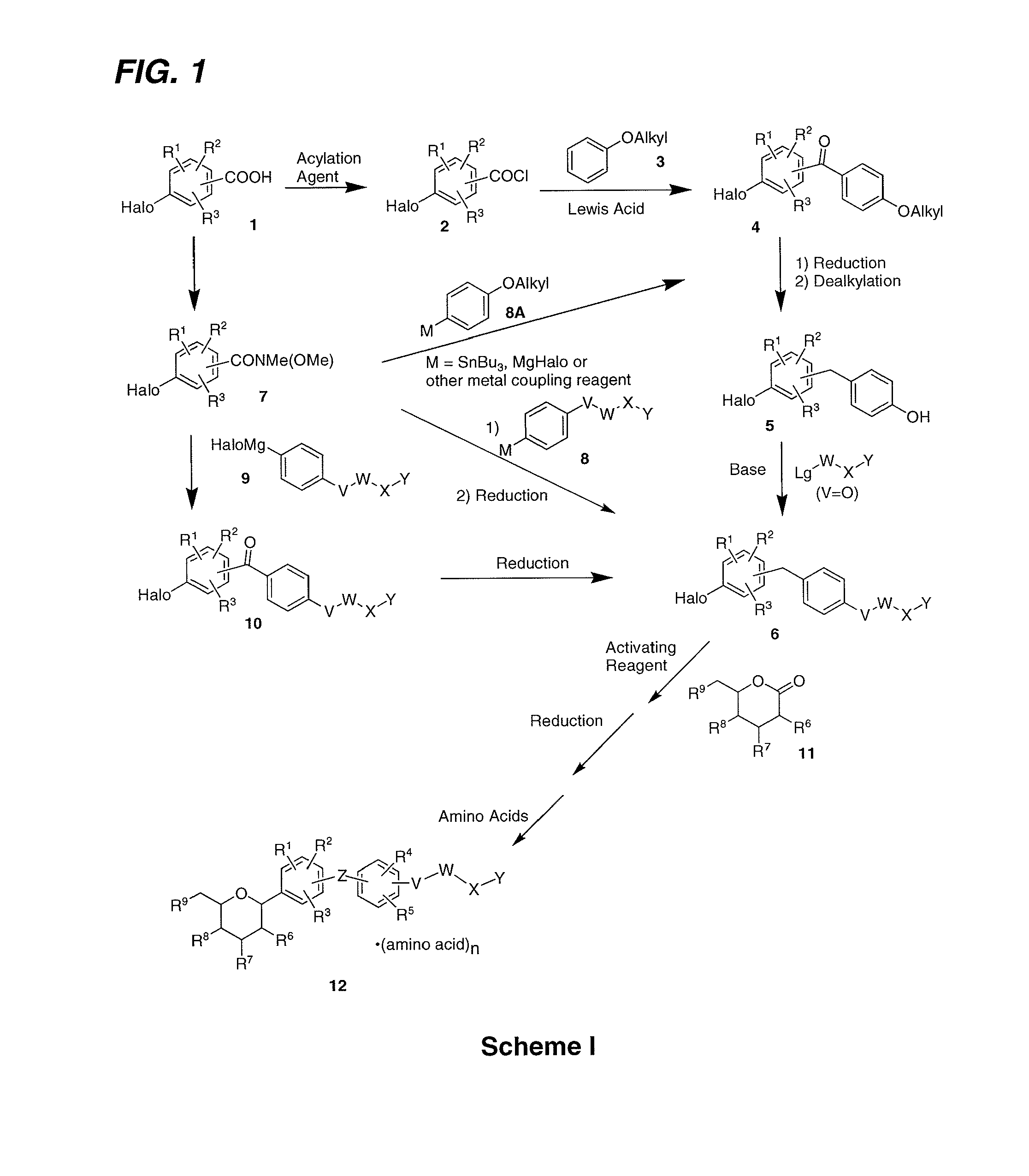 Processes for the preparation of sglt2 inhibitors