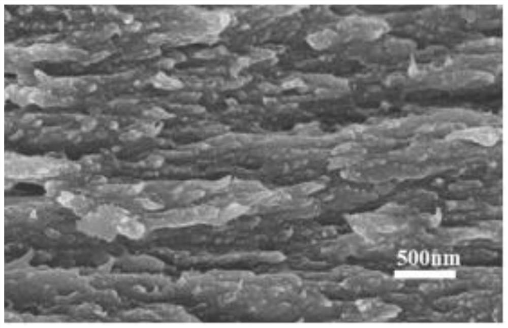 A kind of preparation method of nanocellulose/graphene nanosheet composite film