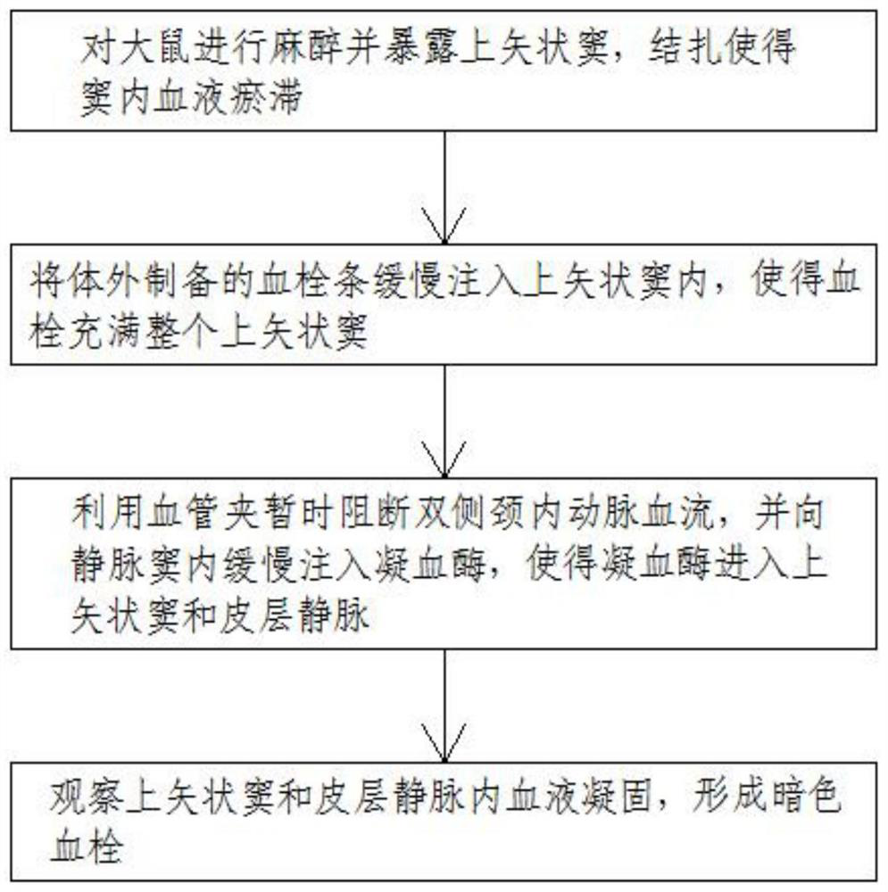 Preparation method of rat model for severe intracranial vein and venous sinus thrombosis