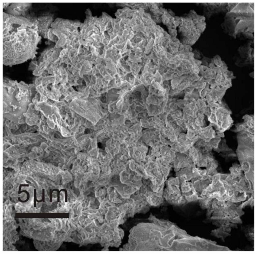 A kind of magnetic porous iron-zirconium bimetal composite coagulation aid and its preparation method and application