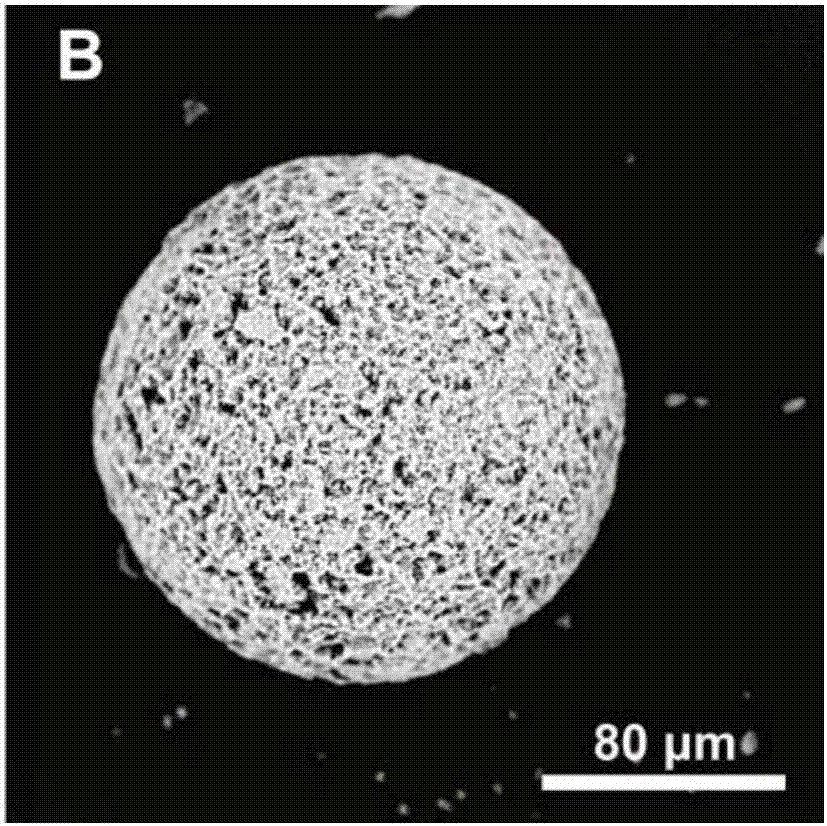 Preparation method and application of porous geological polymer microspheres