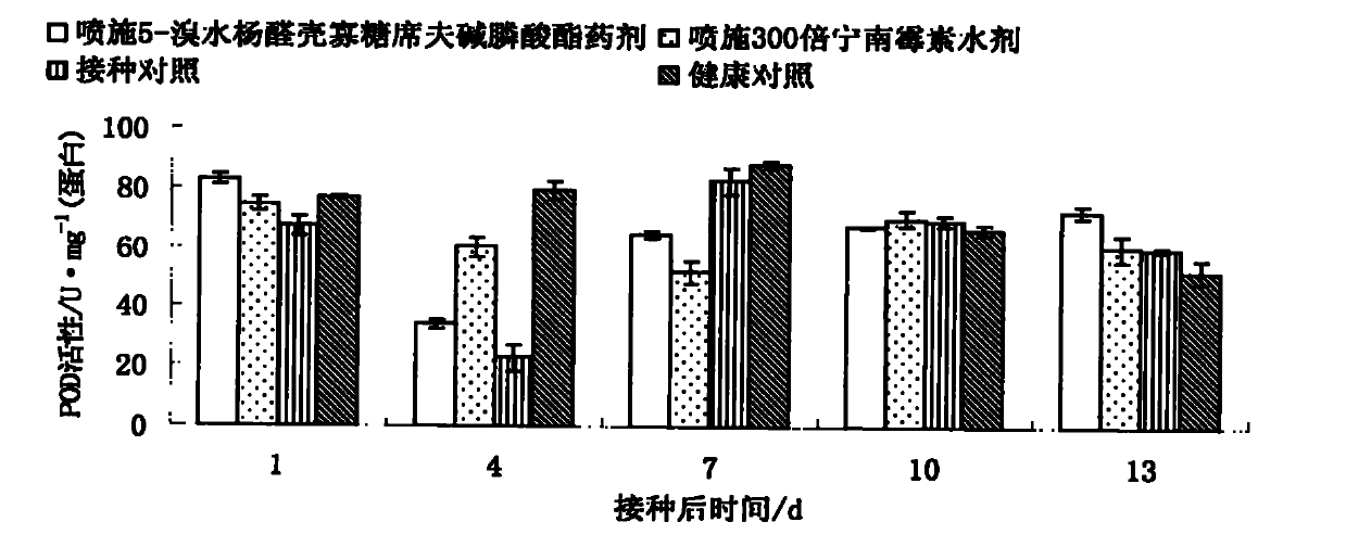 Chitosan oligosaccharide Schiff base phosphonate as well as preparation method and application thereof