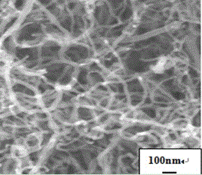 Surface modification method for carbon nano tube