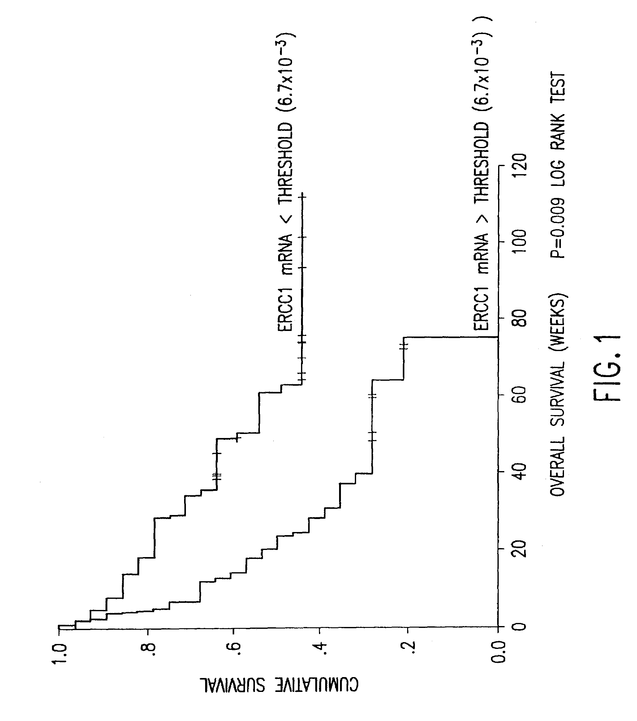 Method of determining a chemotherapeutic regimen based on ERCC1 expression