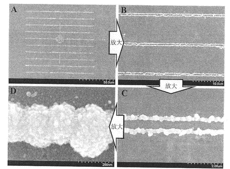 Silver nano superstructure array, and preparation method and application thereof