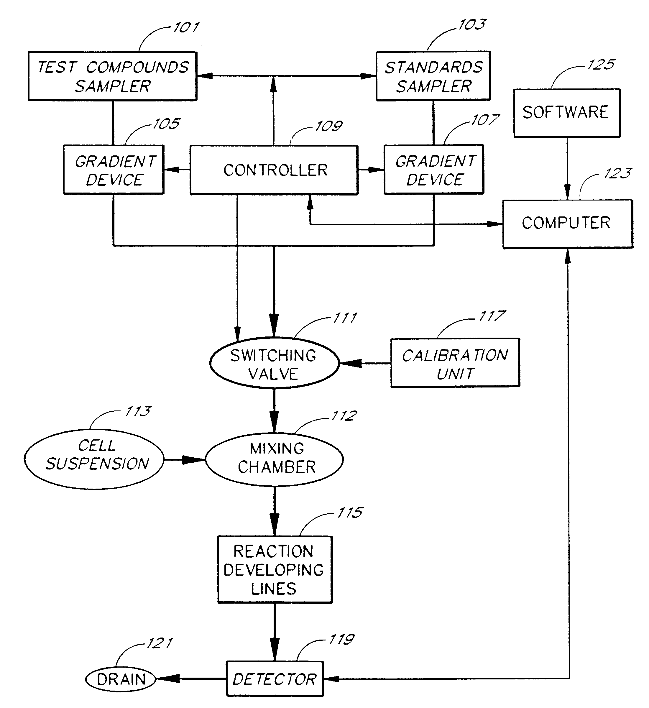 Apparatus and method for real-time measurement of cellular response