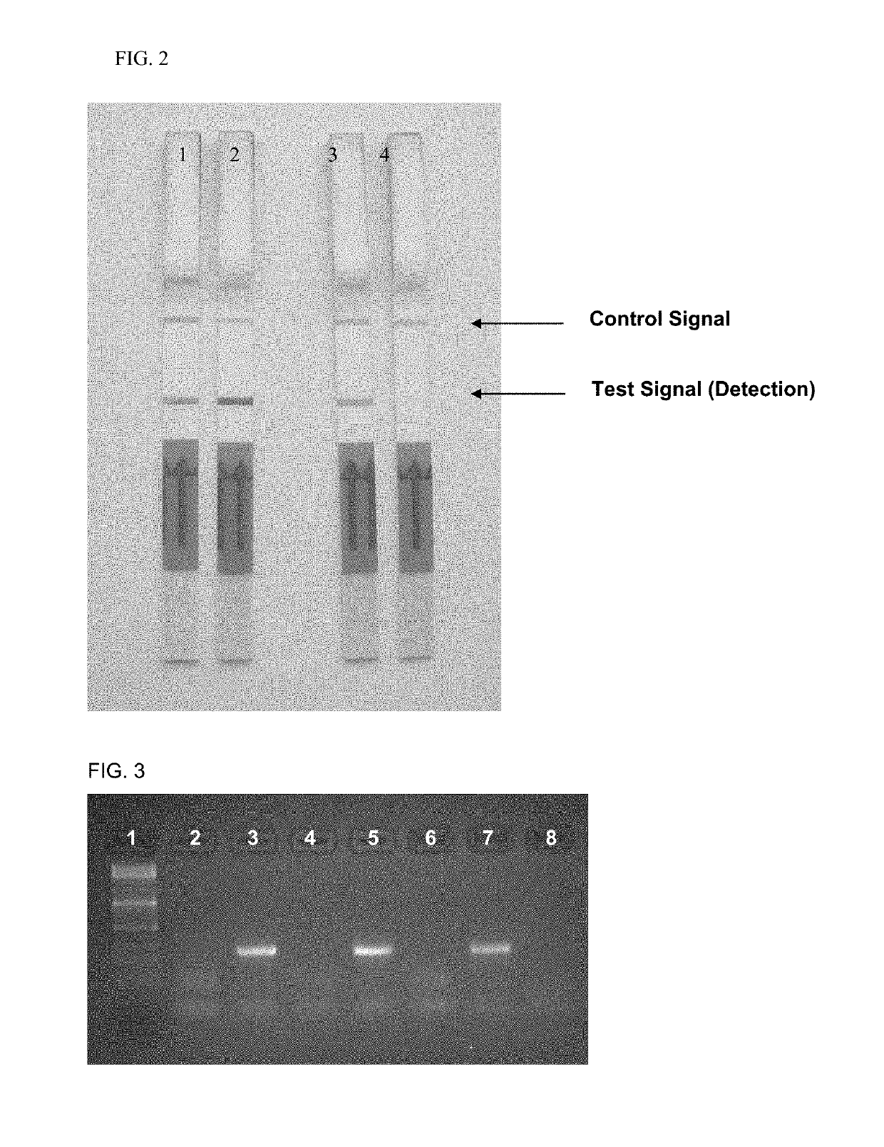 Method and rapid test for the detection of specific nucleic acid sequences