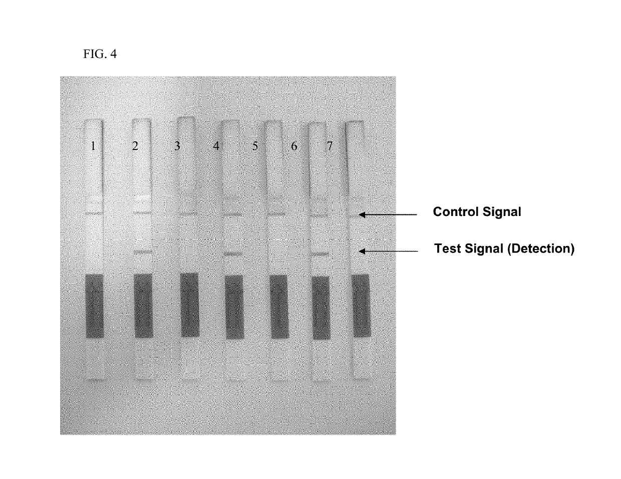 Method and rapid test for the detection of specific nucleic acid sequences