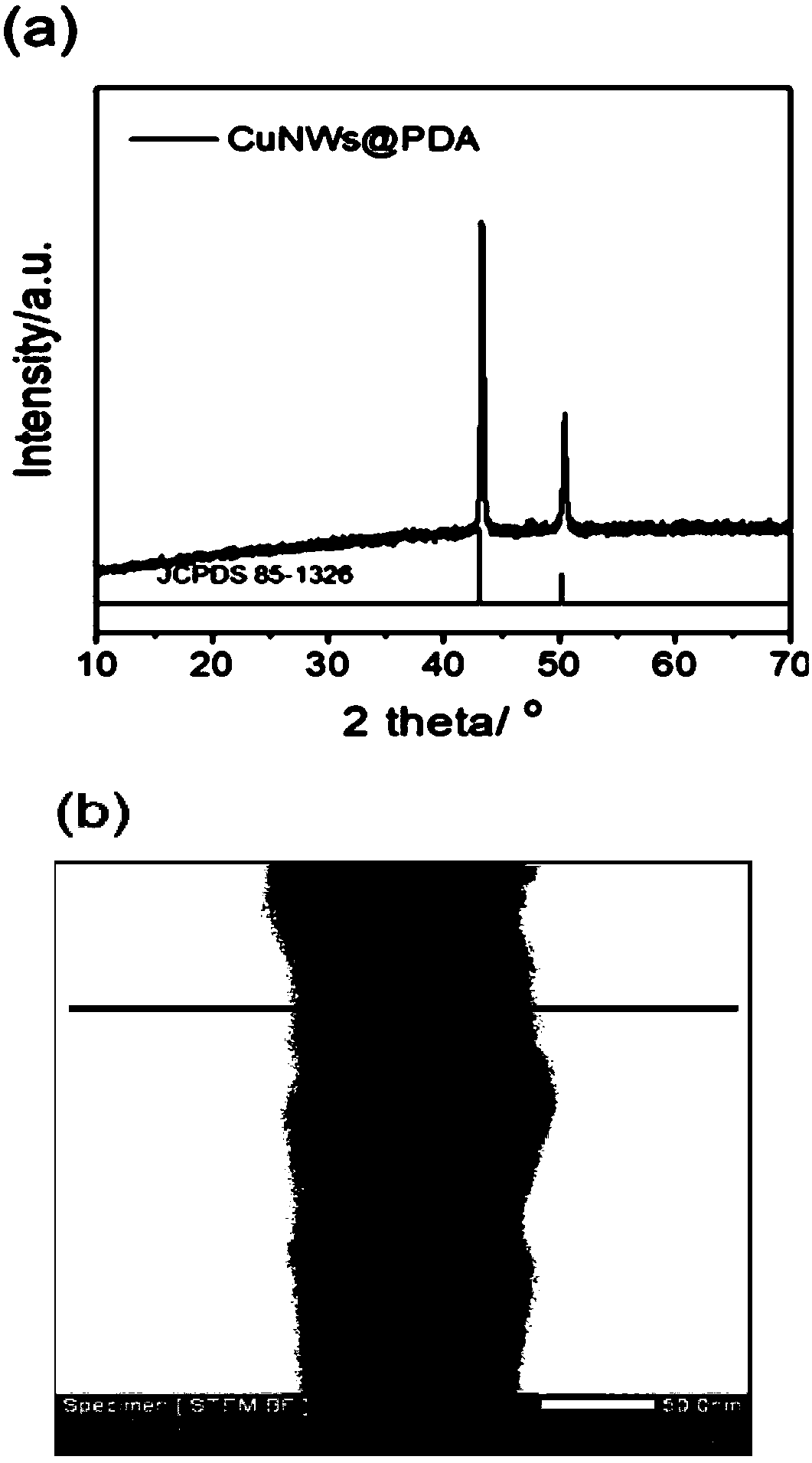 Polydopamine coated copper nanowire composite material as well as preparation method thereof and application thereof