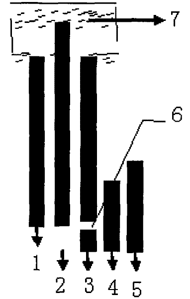 Hollow-out double-sided flexible printed circuit board with ACP conductive adhesive being printed thereon