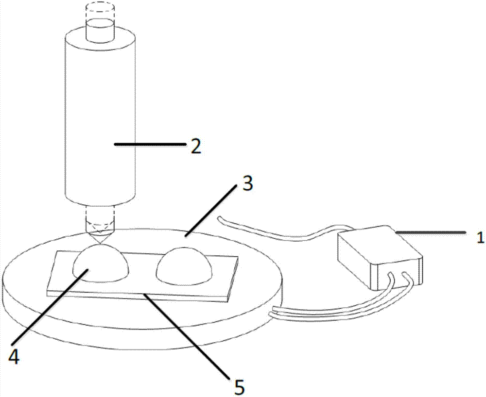 Liquid viscosity test method based on liquid drop mechanical vibration