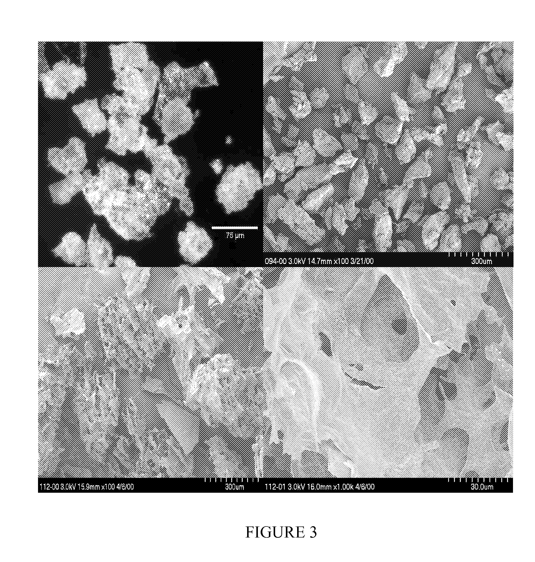Biocompatible protein-based particles and methods thereof