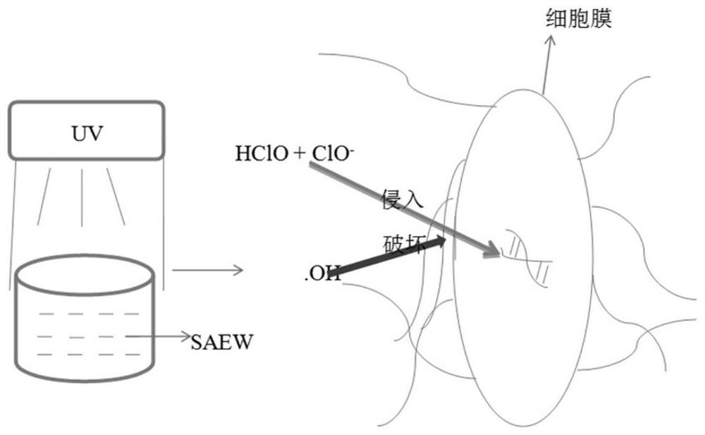 Method for disinfecting eggs and improving quality in storage period