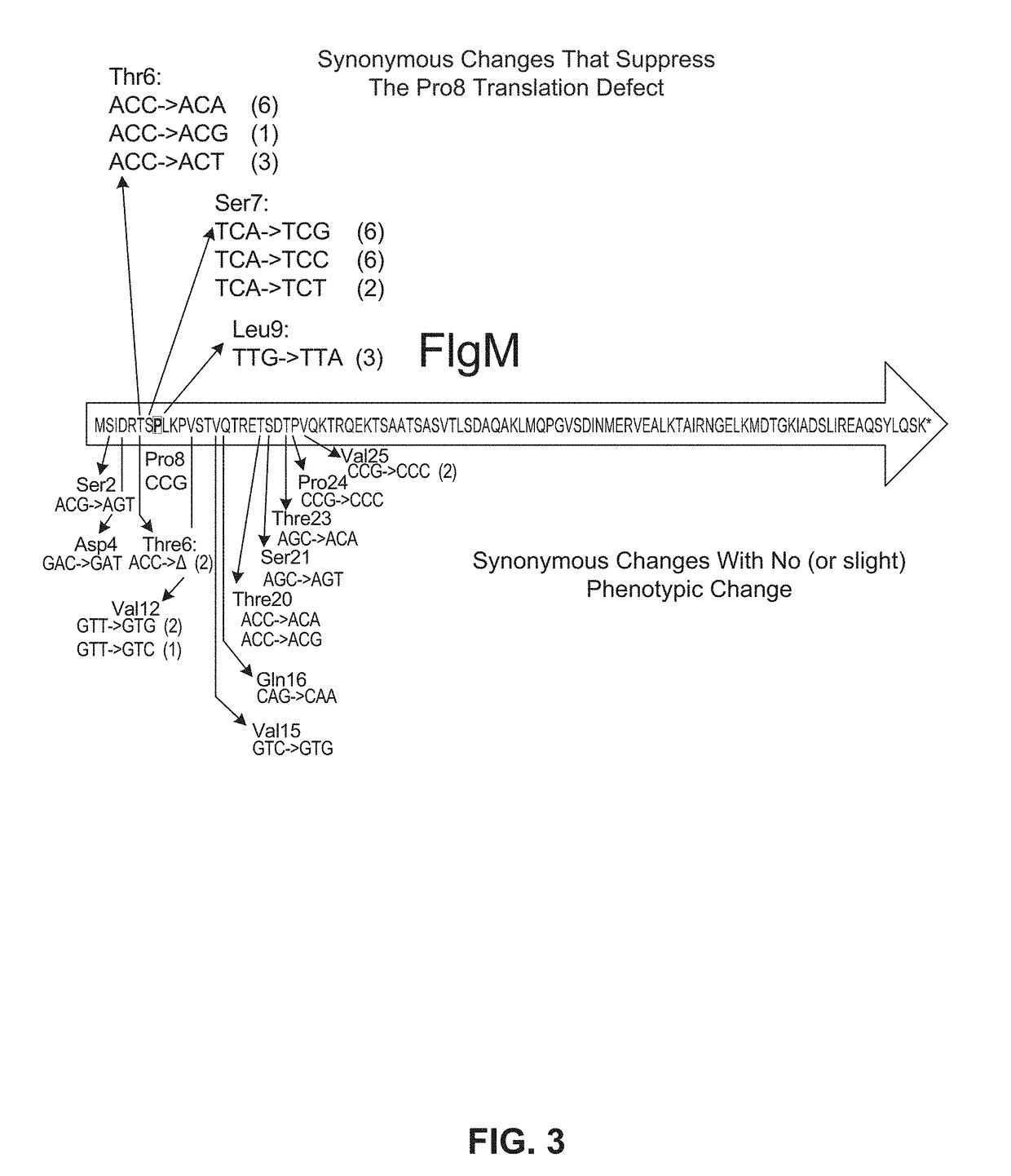 Compositions for adjustable ribosome translation speed and methods of use