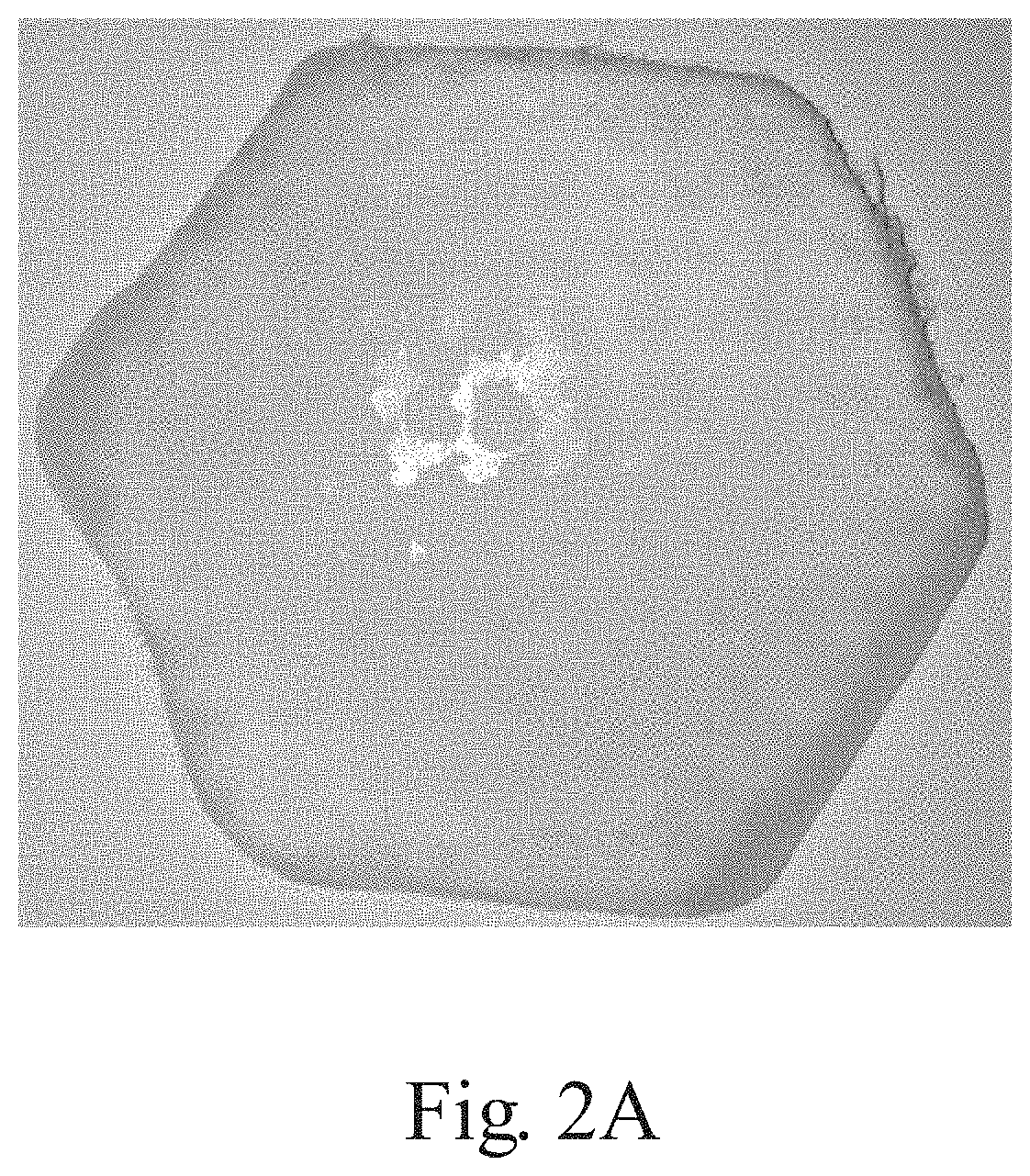 Fibrous structures containing polymer matrix particles with perfume ingredients