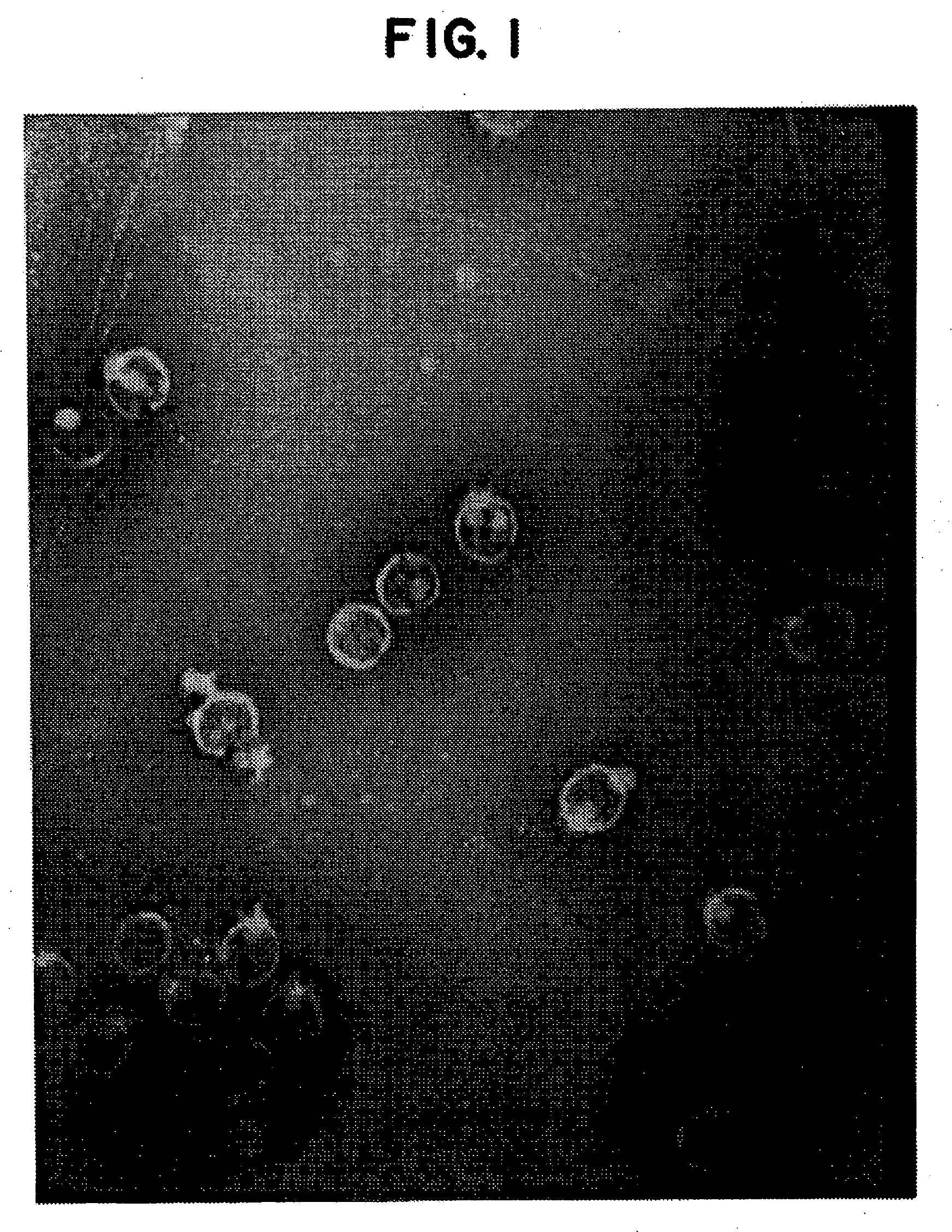 Compositions containing bacteriophages and method of using bacteriophages to treat infections