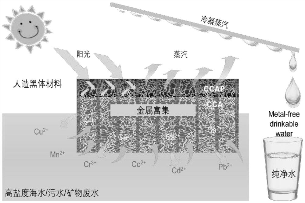 Wood-like black body material and preparation method and application thereof