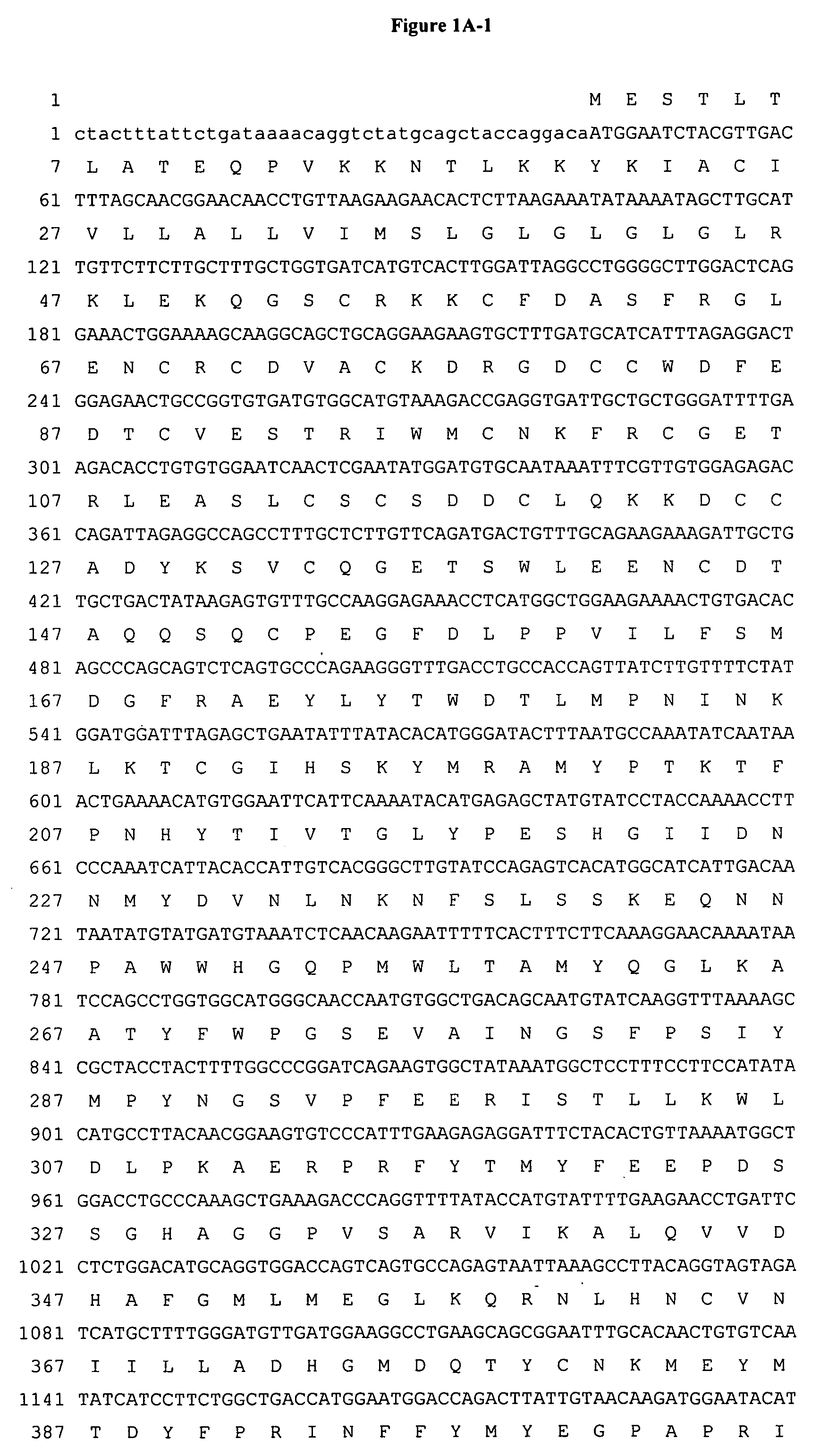 Antibodies and related molecules that bind to 161P2F10B proteins