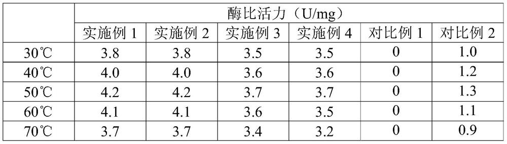 β-Galactosidase, gene and vector, strain, product containing the enzyme, and method for converting lactose and fructose into lactulose