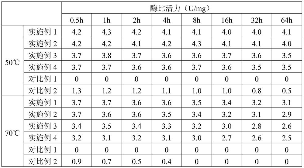 β-Galactosidase, gene and vector, strain, product containing the enzyme, and method for converting lactose and fructose into lactulose