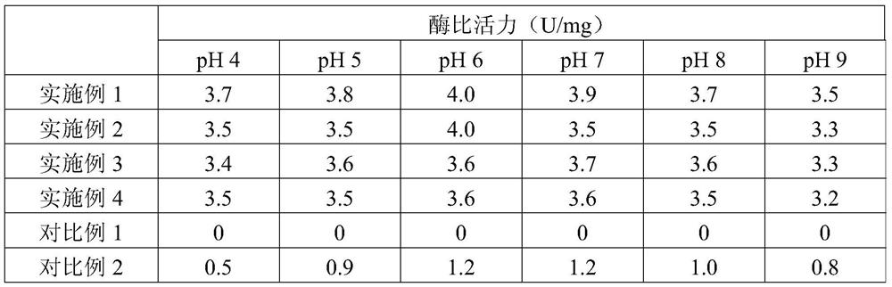 β-Galactosidase, gene and vector, strain, product containing the enzyme, and method for converting lactose and fructose into lactulose