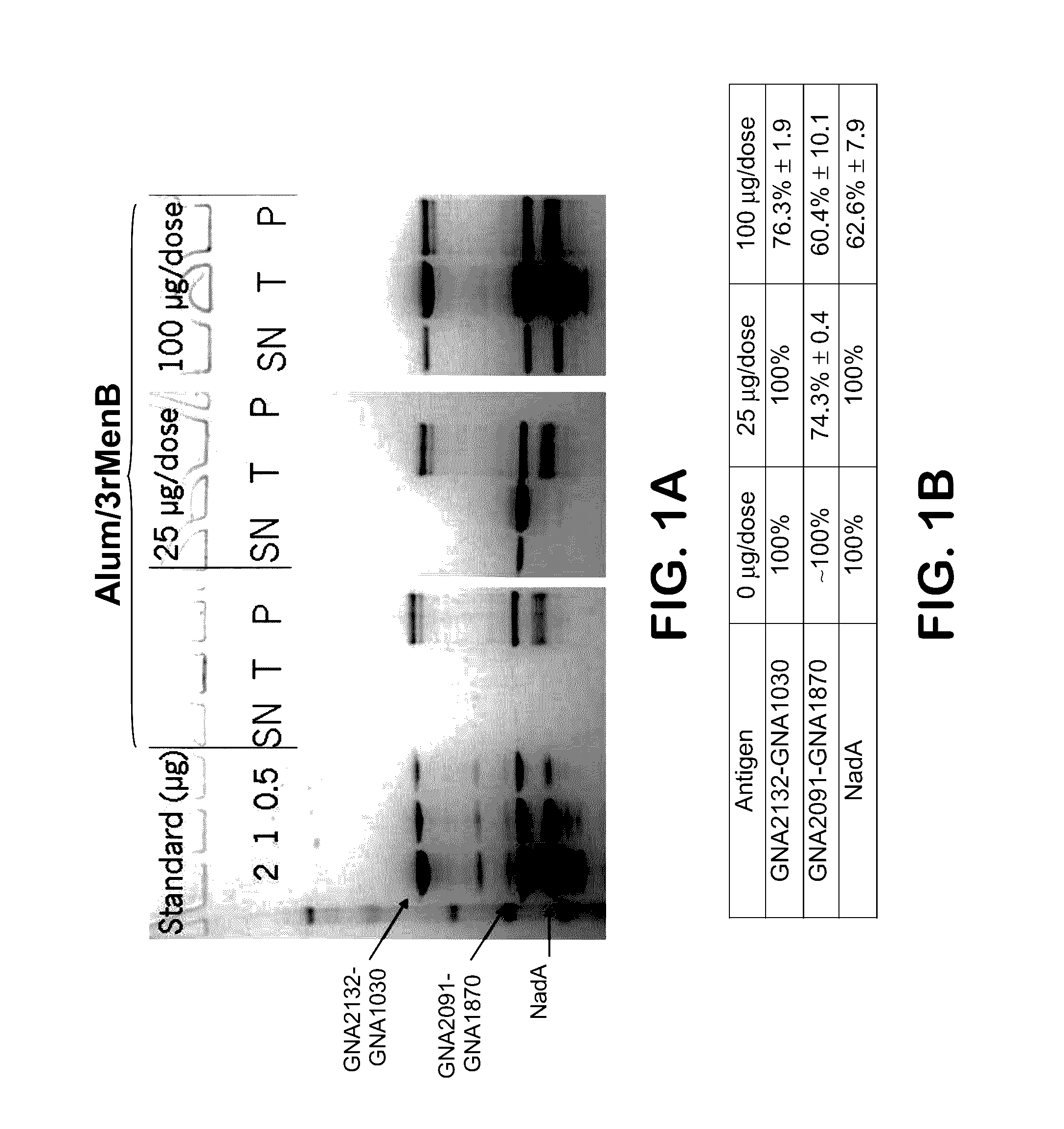 Homogenous suspension of immunopotentiating compounds and uses thereof