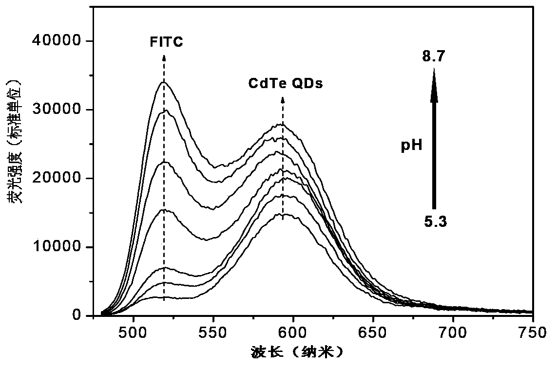 Manufacturing method of pH ratio fluorescence probe based on organic dye-quantum dot compound